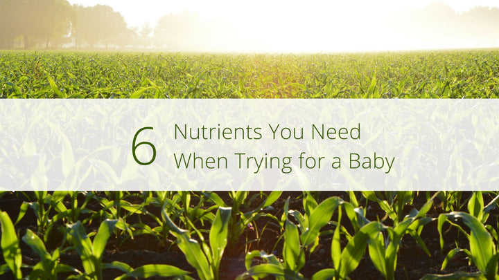 6 Nutrients You Need When Trying For Baby