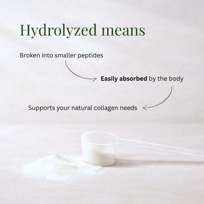 Text explaining hydrolyzed collagen and its benefits on a light background with a small container of powder.